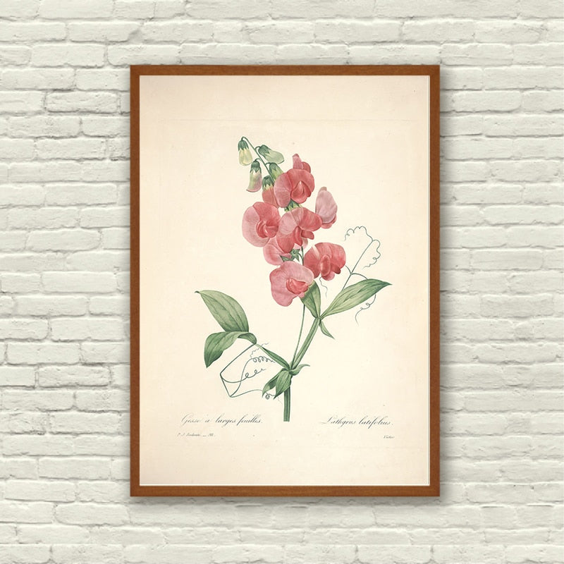 "Vuokko" Vintage Botanical Prints Canvas Collection