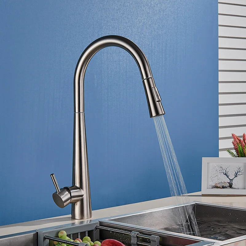 DecorBites™ Gold Swivel Kitchen Faucet with Pull Down Sprayer