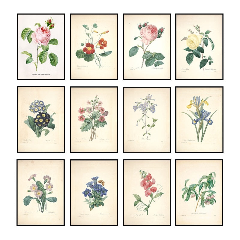 "Vuokko" Vintage Botanical Prints Canvas Collection