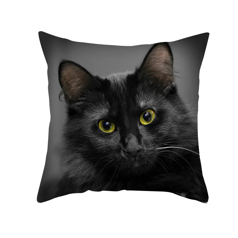DecorBites™ Black Cat Pillowcases - Cute Kitty Animal Lover Cushion Cover