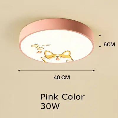 DecorBites™ Kids Cartoon Acrylic Ceiling Light with Remote Control LED Girl Children's Room Lighting
