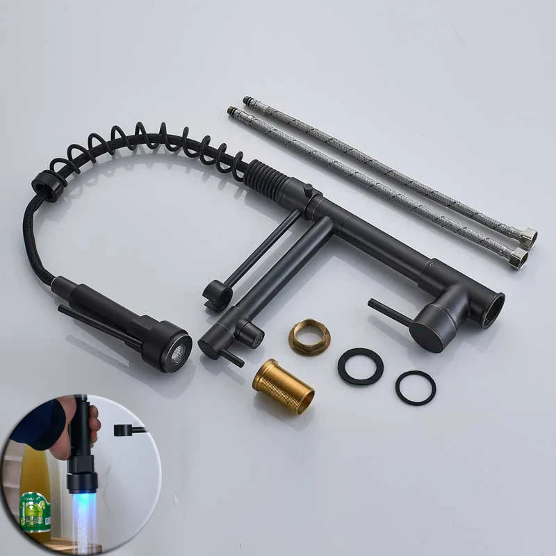 DecorBites™ Black Bronze Dual Spout Kitchen Faucet with Pull Down Sprayer