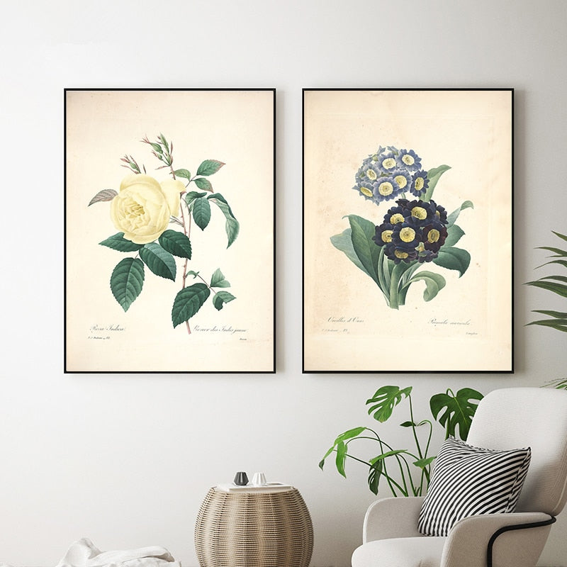 "Vuokko" Vintage Botanical Prints Canvas Collection