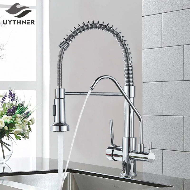 DecorBites™ Black Dual Handle Kitchen Faucet with Water Purification Feature, 360° Rotation