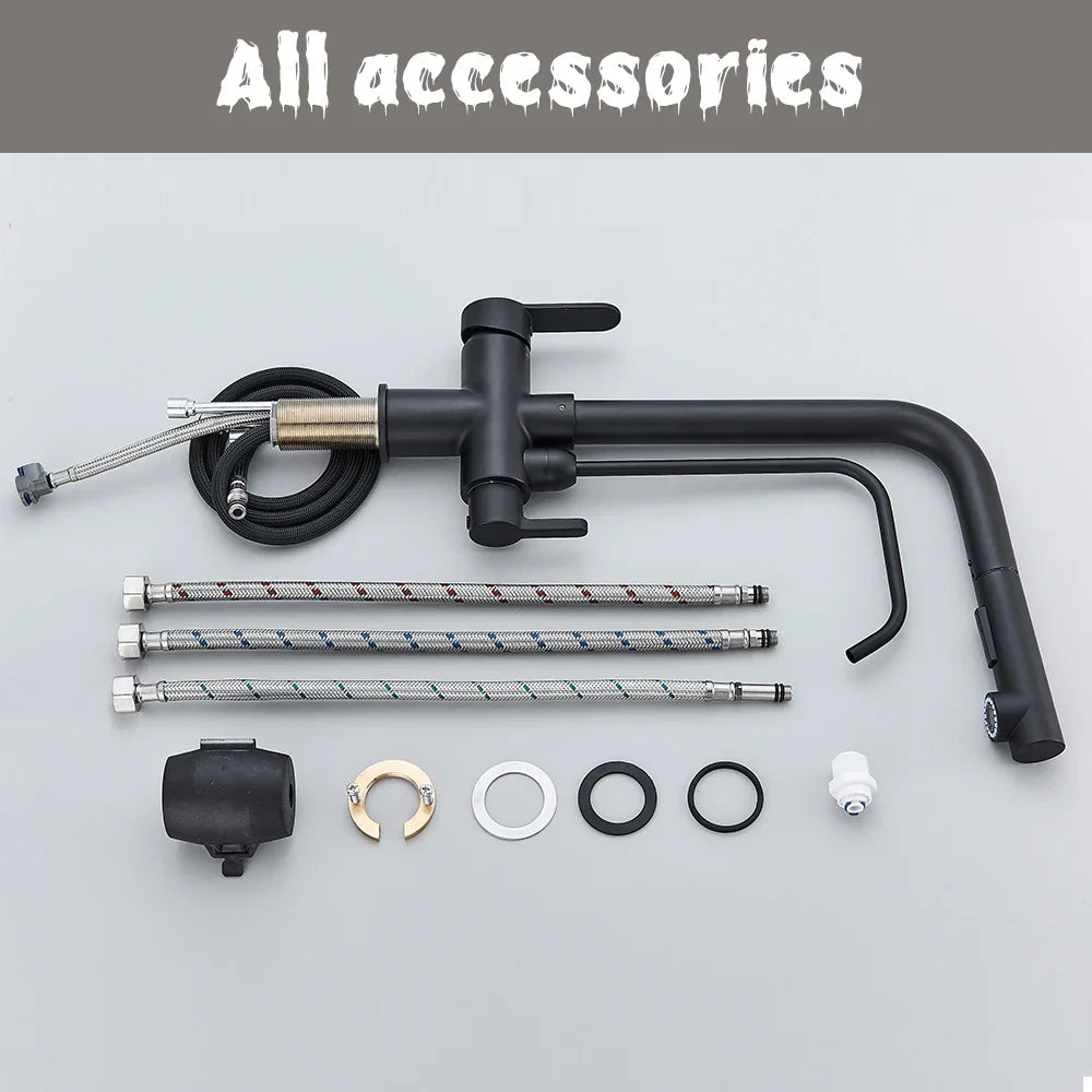 DecorBites™ Black 2-in-1 Purification Kitchen Faucet with Flexible Pull Out Nozzle