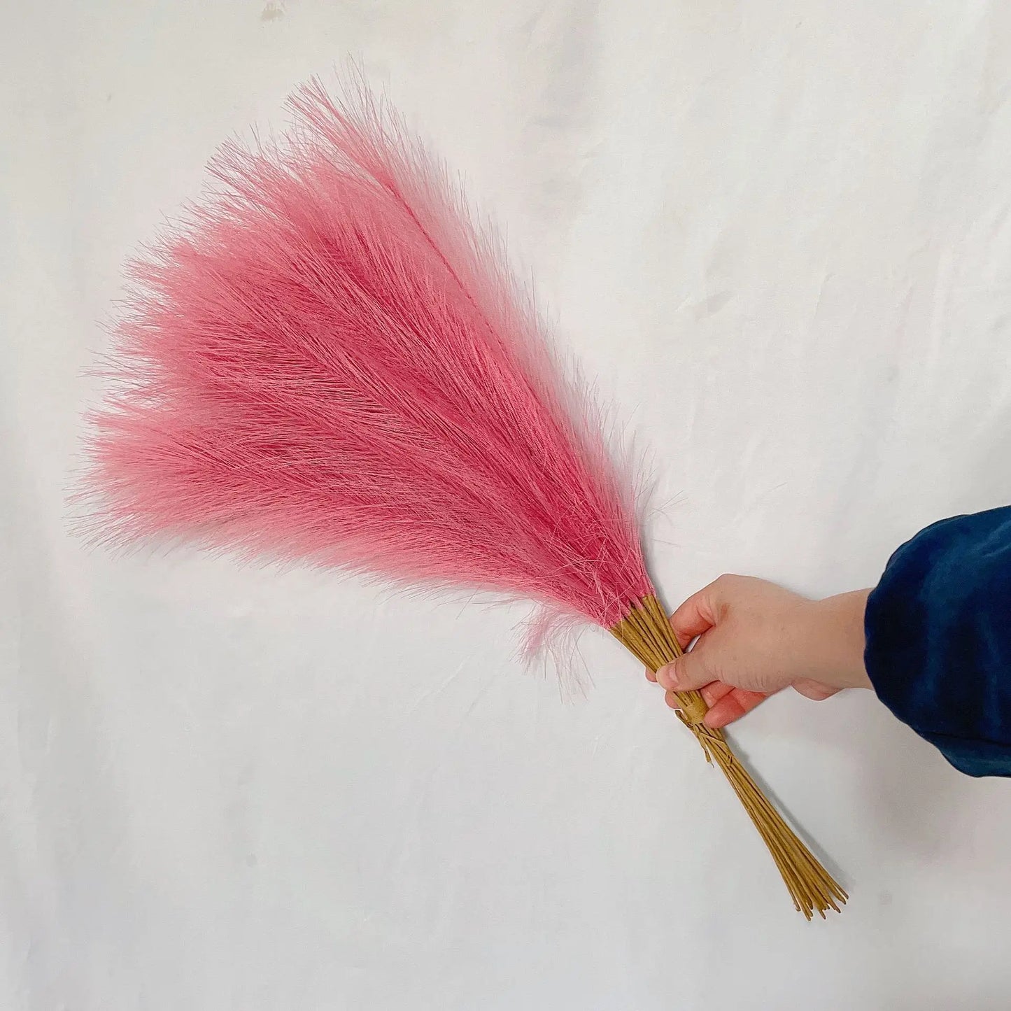 DecorBites™ Fluffy Pampas Grass Boho Decor Pampas Grass.