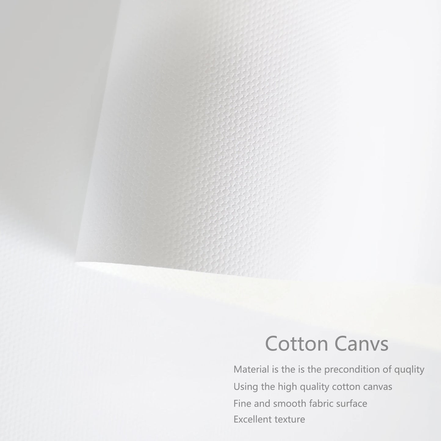 Modern Black & White Canvas Print Decor - Posters