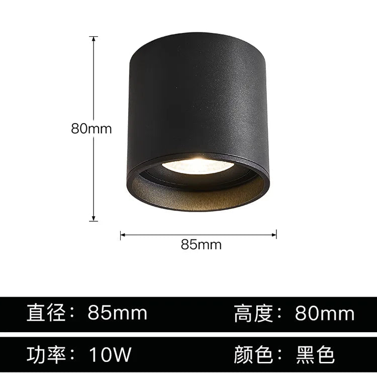DecorBites™ Aluminum Ceiling Lamp: Cylindrical Surface Mounted Downlight with Adjustable Beam Angle