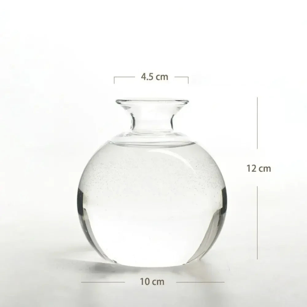 Avocado Seed Starter Hydroponic Vase - B - Vase