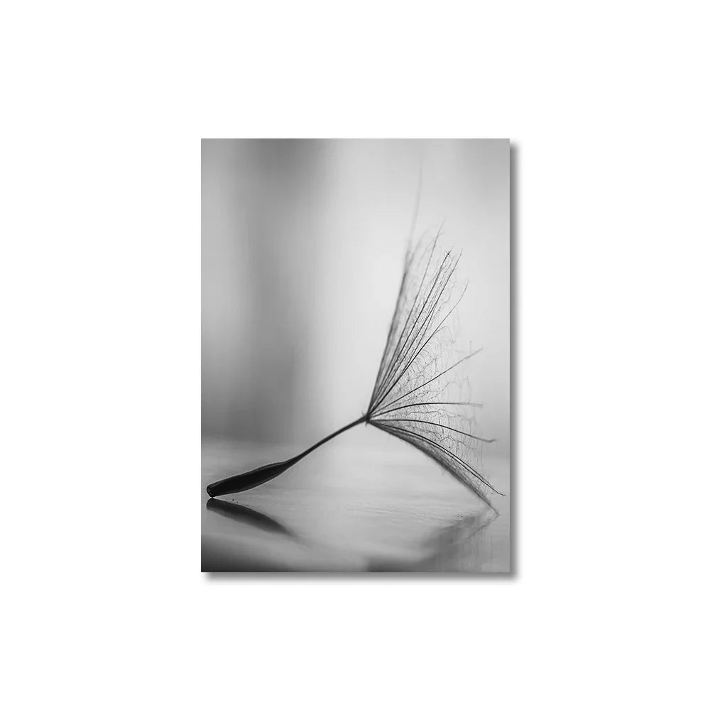 Black and White Dandelion Canvas Wall Art - C / 50x70cm