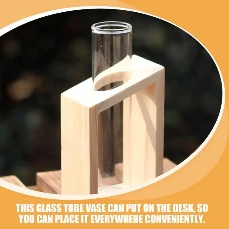 Clear Glass Test Tube Vases for Plants - As Shown - Vase