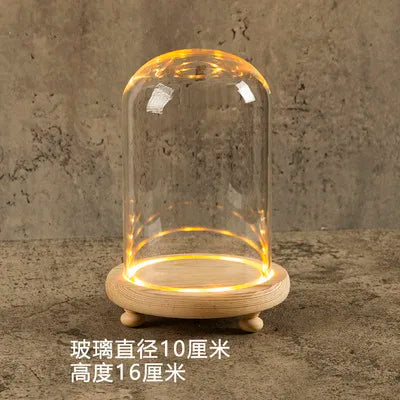 Glass Bell Jar Terrarium with LED Light - 10X16CM - Vase