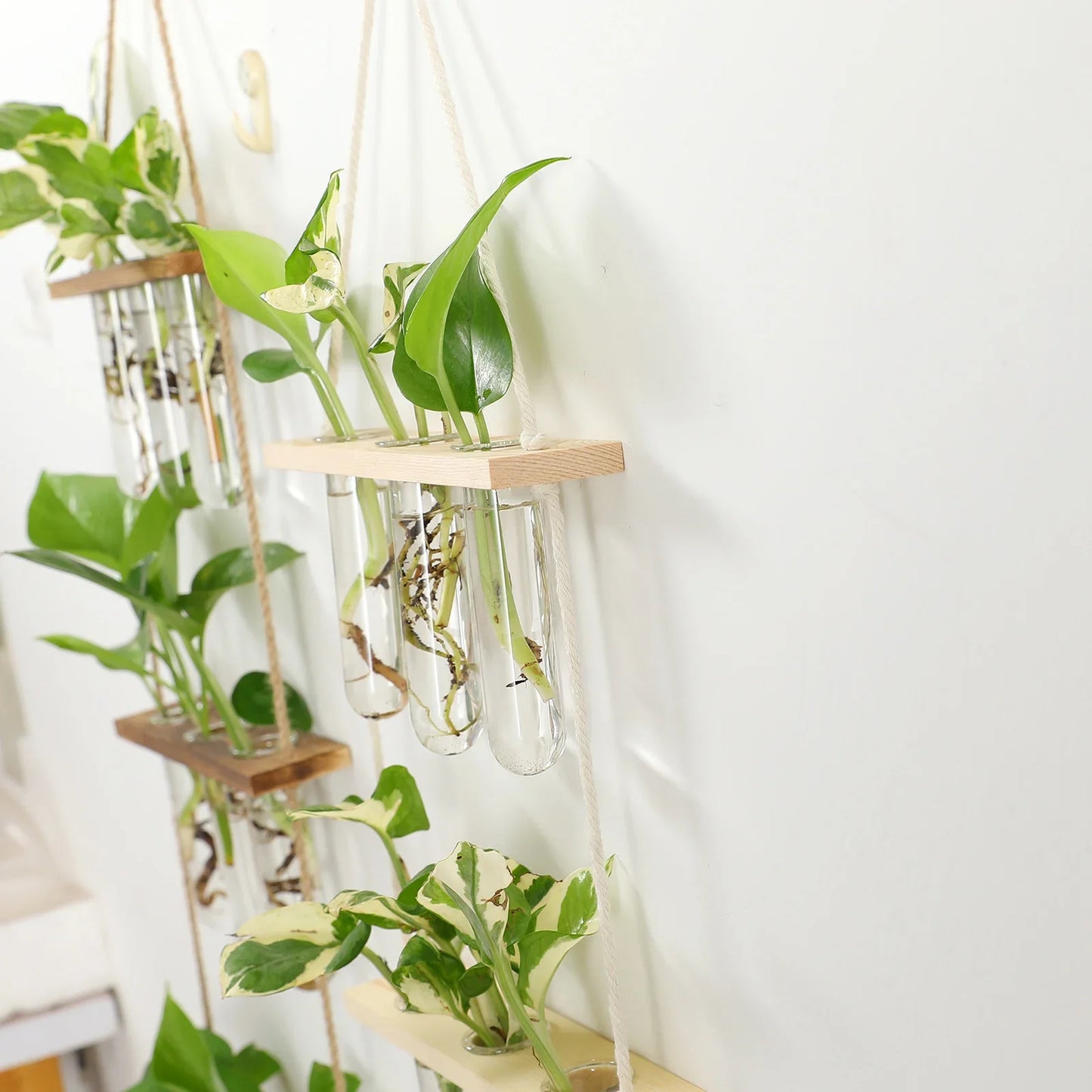 Glass Wall Hanging Planters with Wooden Holder - Vase