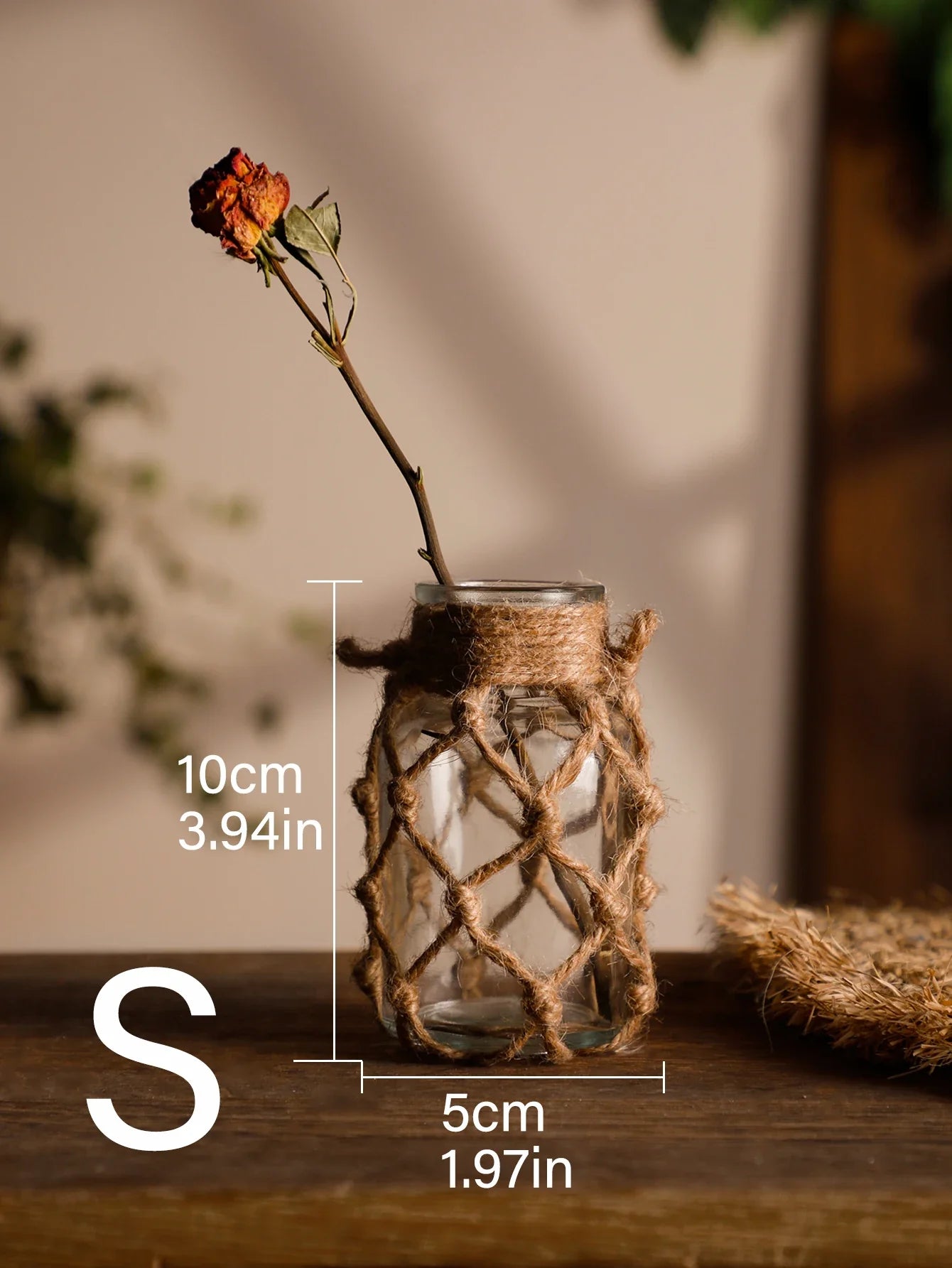 Hanging Glass Vase with Hemp Rope - Rustic Home Decor - TK815-RXHP286 - Vase