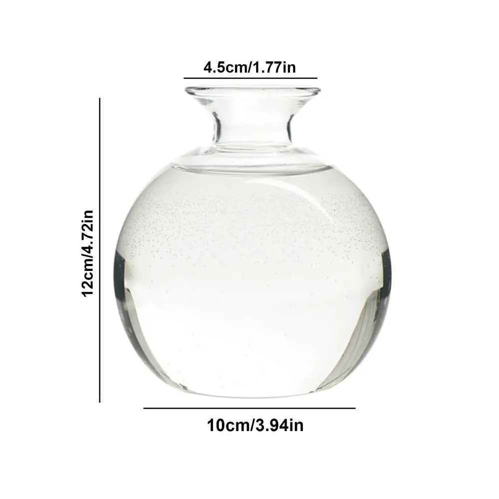 ’Hydroponic Avocado Seed Cultivation Vase’ - Round / belgium - Vase