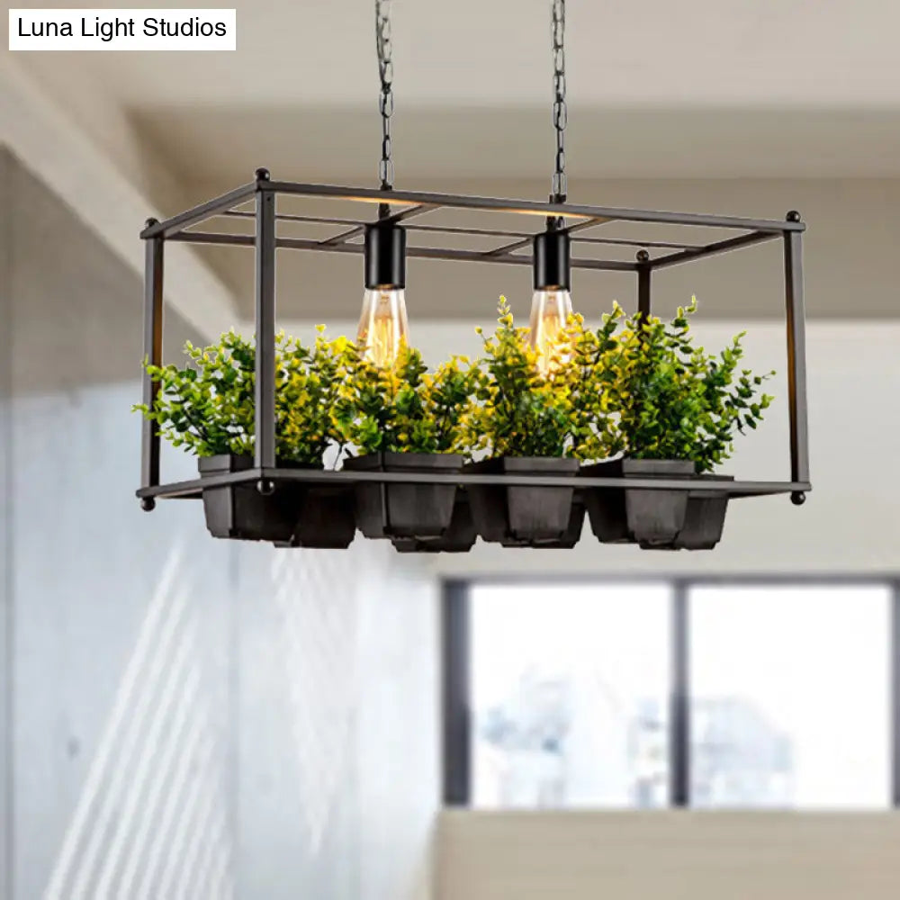 DecorBites™ Industrial Metal Rectangular LED Plant Hanging Ceiling Light for Restaurants - Black 2 Heads Island Lamp