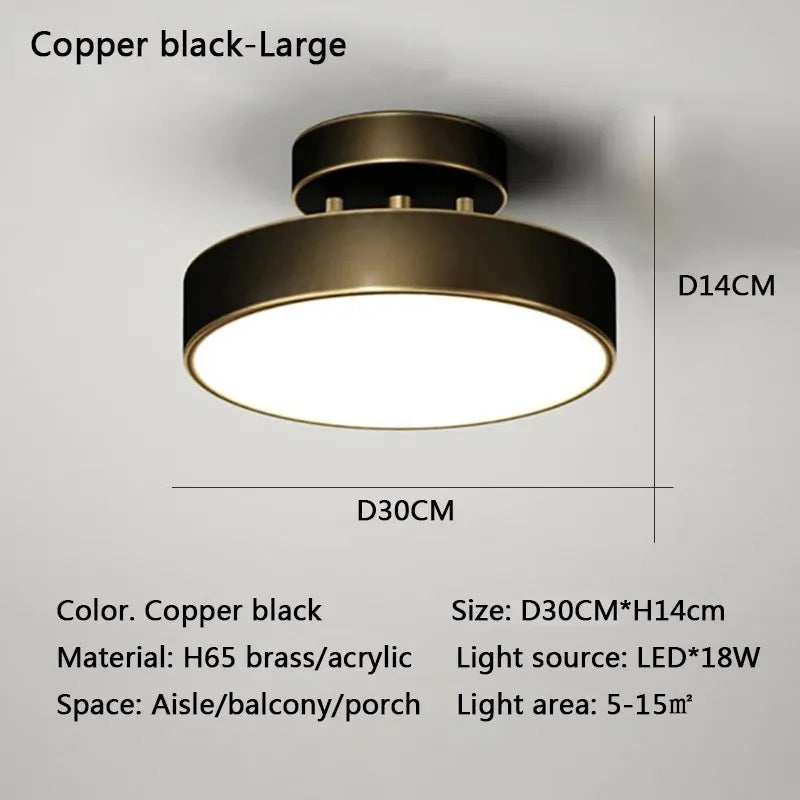 LED Ceiling Light for Bedroom and Living Room - Black 30CM / Warm white