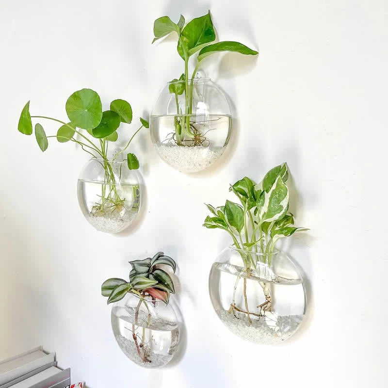 Modern Hanging Glass Vase for Home Decor - Vase