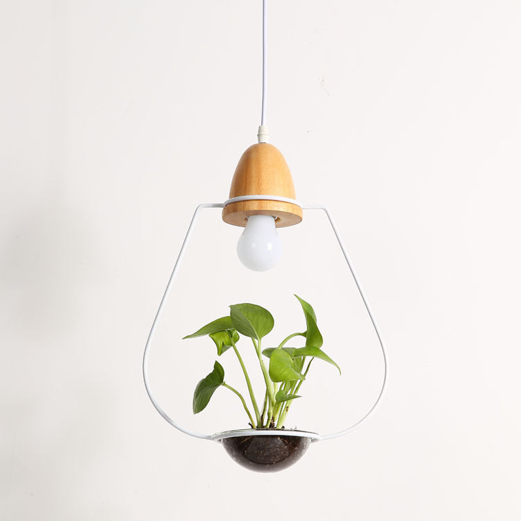 Wooden pendant light with glass enclosure and plant, modern design.