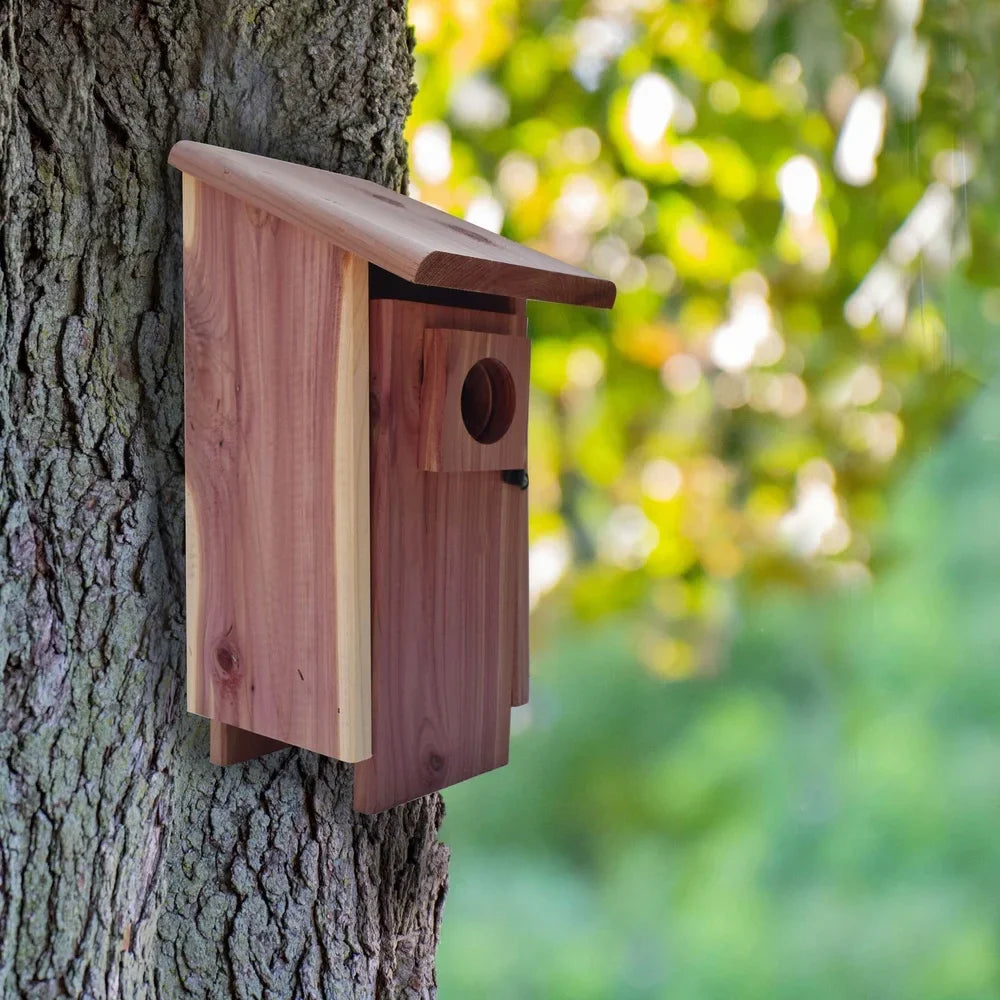 Red Cedar Bluebird House with Mounting Pole - United States