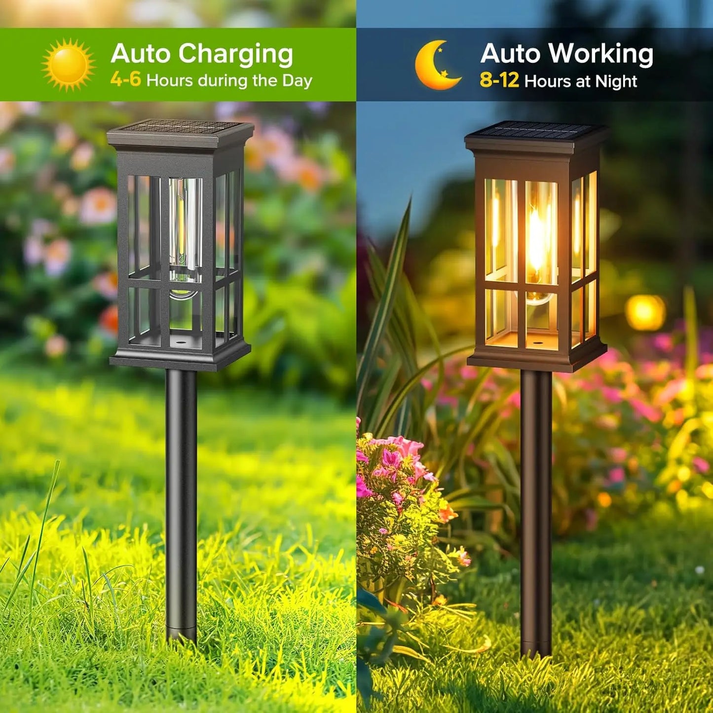 Solar Pathway Lights - Bright Outdoor Lights