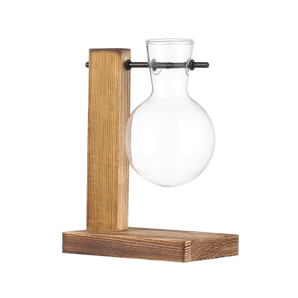 Vintage Glass Hydroponic Plant Vase Tray - Vase