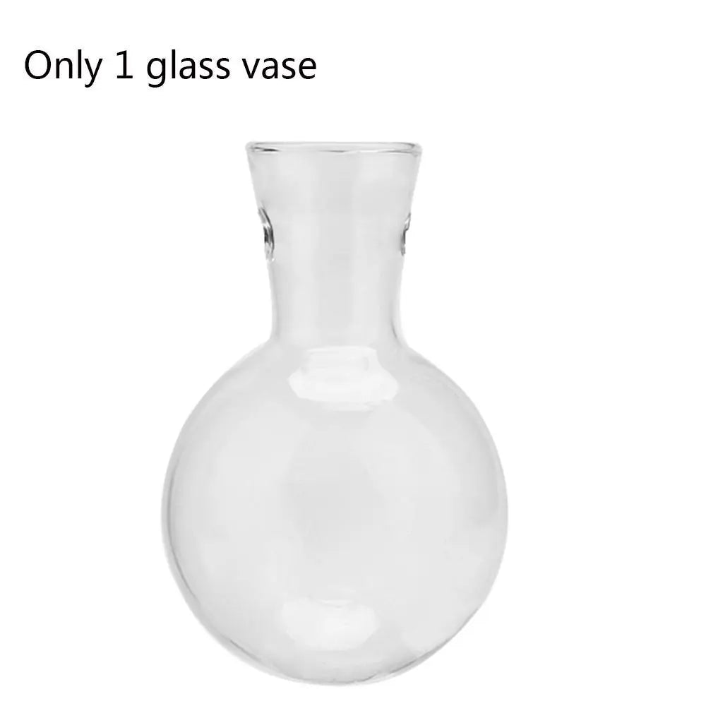 Vintage Glass Hydroponic Plant Vase Tray - D - Vase