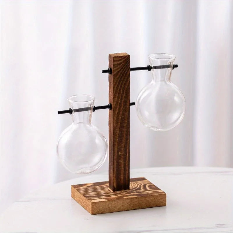 Vintage hydroponic glass vase for desktop plant propagation - Vase
