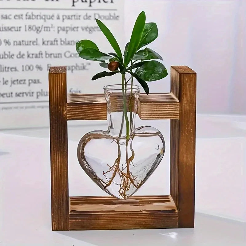Heart-shaped glass vase with wooden frame and green spiral pine plant for home decoration on living room desk