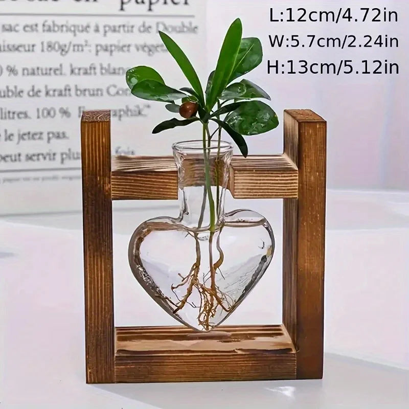 Heart-shaped glass vase with green leaves and visible roots in a rustic wooden frame for home desk decoration