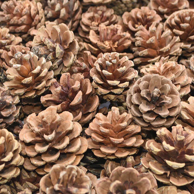 10pcs Artificial Rattan Pine Flowers