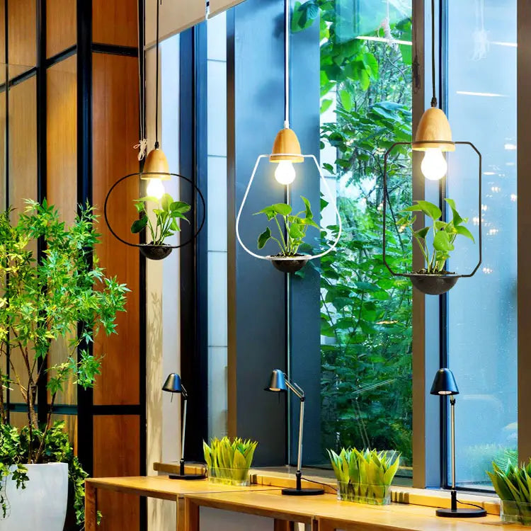 Plant Chandelier