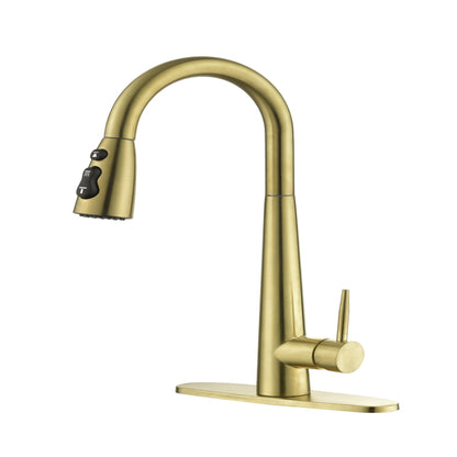 Kitchen Faucet With Pull-down Spray