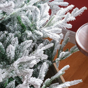 Green Pine Christmas Tree