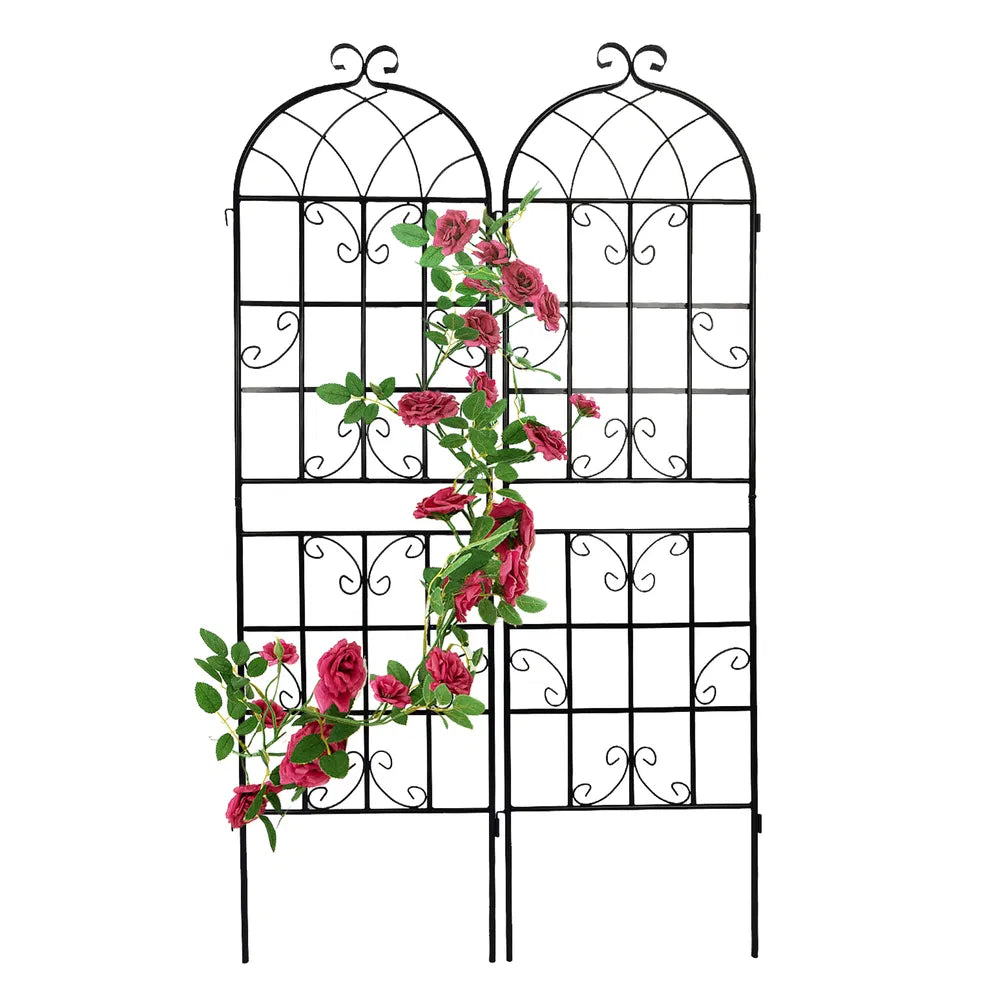 Metal Trellis 2-Pack Set