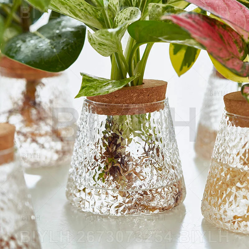 Clear textured glass flower pot with cork lid holding water and greenery for hydroponic home decoration
