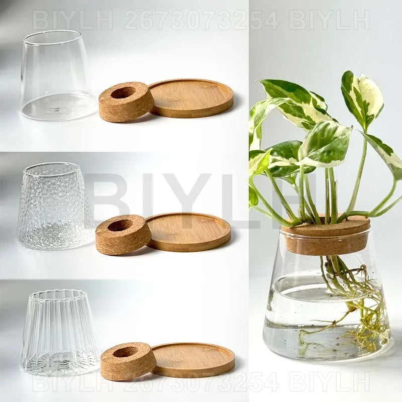 Clear glass hydroponic flower pot with textured fluted design and natural cork lid for home decoration