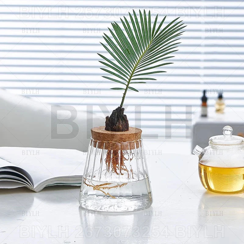 A clear glass hydroponic plant vase with fluted design cork lid and green palm frond in water for home decoration