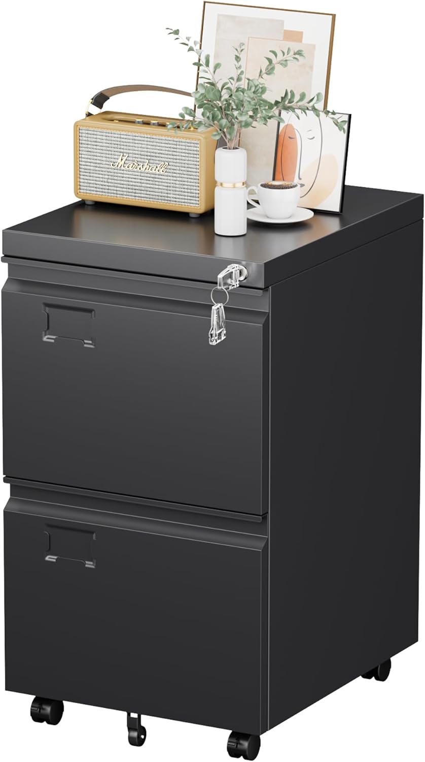 2 Drawer Mobile File Cabinet, Metal Under Desk Cabinet With Lock Name Card Holder For Office Home, Legal Letter Size, Assembly Required - Decorbites