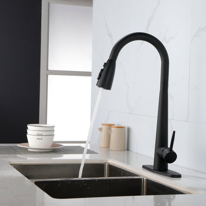 Kitchen Faucet With Pull-down Spray