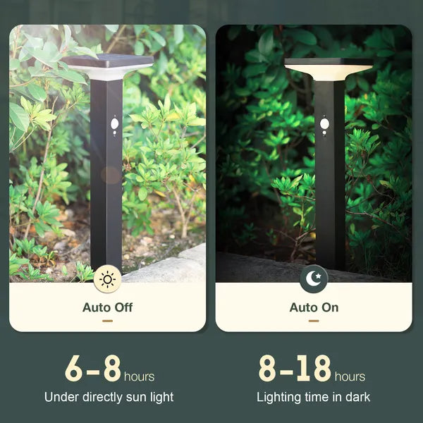 Solar Motion Path Lights