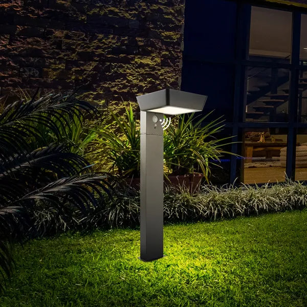 LED Solar Pathway Lights