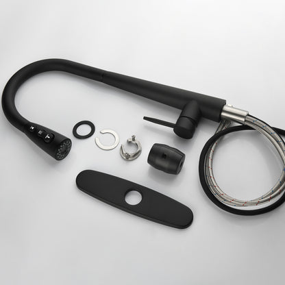 Kitchen Faucet With Pull-down Spray