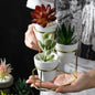 3 In1 Ceramic Succulent Pots Set