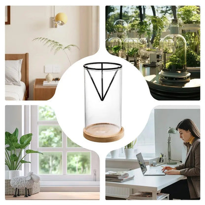 3-Piece Clear Glass Hydroponic Avocado Planting Set - Vase