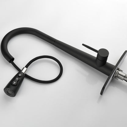 Kitchen Faucet With Pull-down Spray