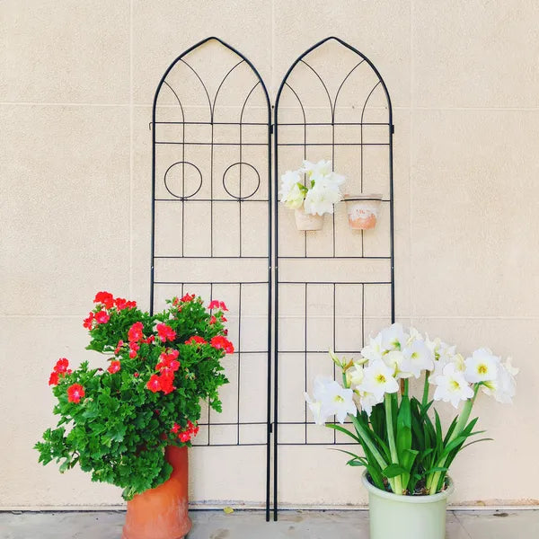 Tall Metal Garden Trellis