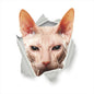 3D Cat & Dog Toilet Stickers