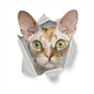 3D Cat & Dog Toilet Stickers