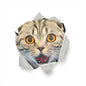 3D Cat & Dog Toilet Stickers